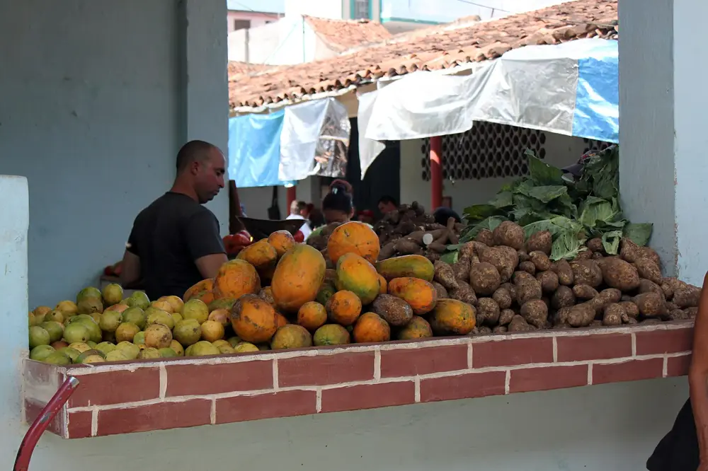 Un puesto de mercado en Cuba con papayas, guayabas y viandas